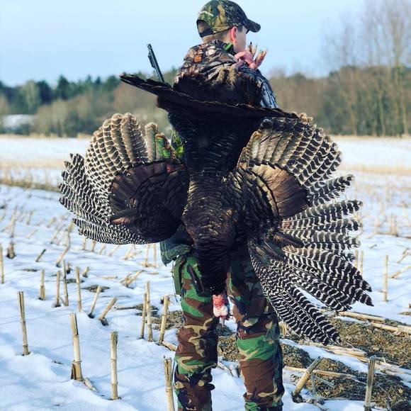 Meet your Posher, Alex - Picture 1 of 1